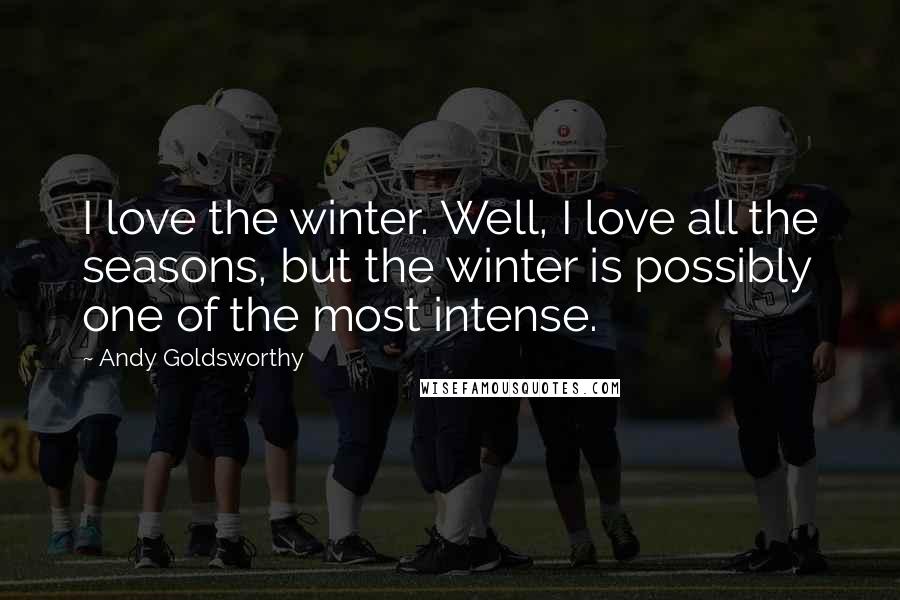 Andy Goldsworthy Quotes: I love the winter. Well, I love all the seasons, but the winter is possibly one of the most intense.