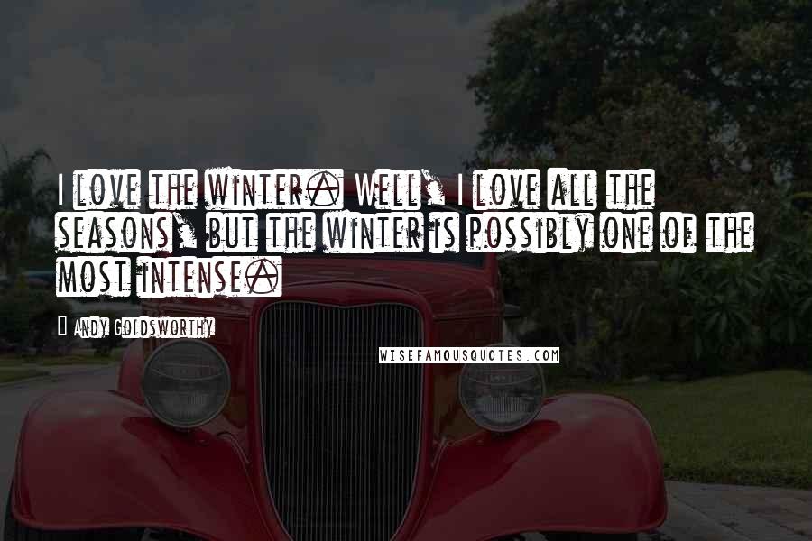 Andy Goldsworthy Quotes: I love the winter. Well, I love all the seasons, but the winter is possibly one of the most intense.