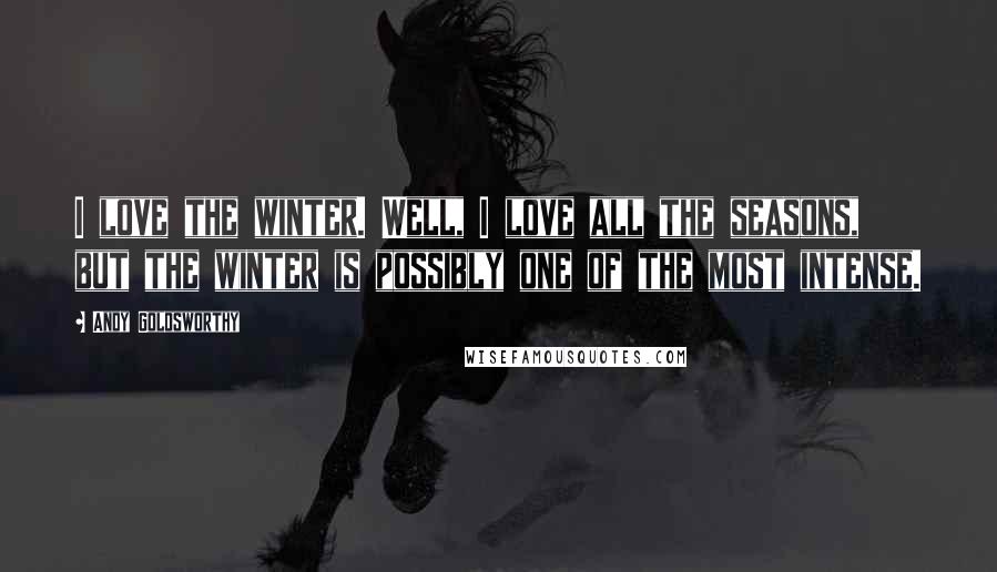 Andy Goldsworthy Quotes: I love the winter. Well, I love all the seasons, but the winter is possibly one of the most intense.