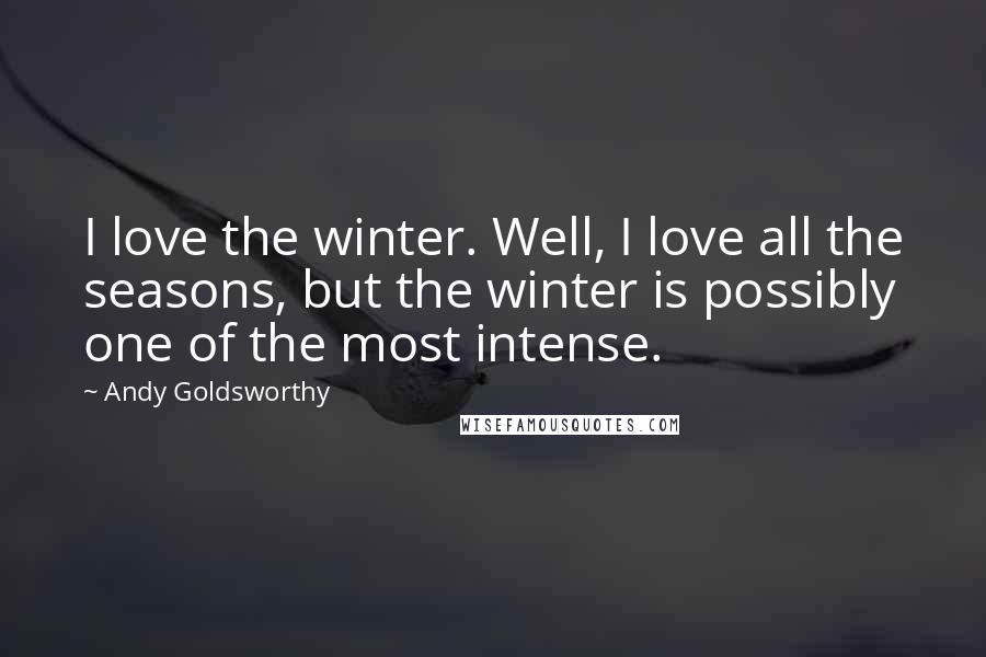 Andy Goldsworthy Quotes: I love the winter. Well, I love all the seasons, but the winter is possibly one of the most intense.