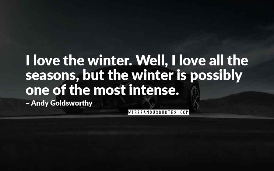 Andy Goldsworthy Quotes: I love the winter. Well, I love all the seasons, but the winter is possibly one of the most intense.