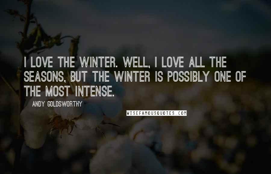 Andy Goldsworthy Quotes: I love the winter. Well, I love all the seasons, but the winter is possibly one of the most intense.
