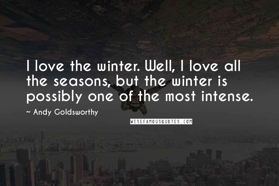 Andy Goldsworthy Quotes: I love the winter. Well, I love all the seasons, but the winter is possibly one of the most intense.