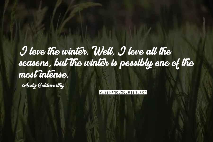 Andy Goldsworthy Quotes: I love the winter. Well, I love all the seasons, but the winter is possibly one of the most intense.