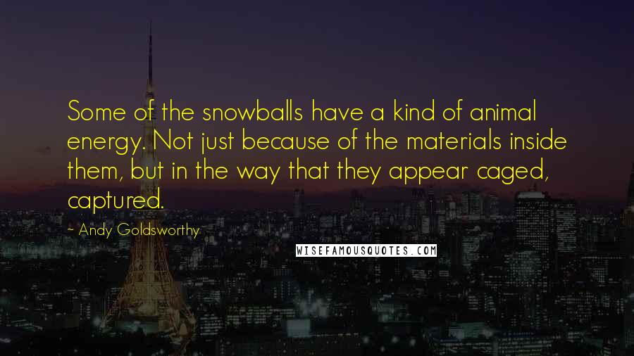 Andy Goldsworthy Quotes: Some of the snowballs have a kind of animal energy. Not just because of the materials inside them, but in the way that they appear caged, captured.