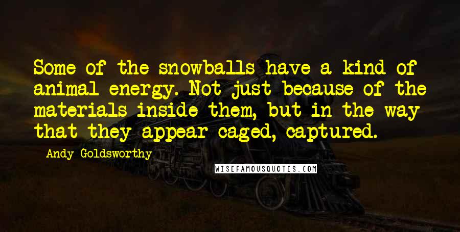 Andy Goldsworthy Quotes: Some of the snowballs have a kind of animal energy. Not just because of the materials inside them, but in the way that they appear caged, captured.