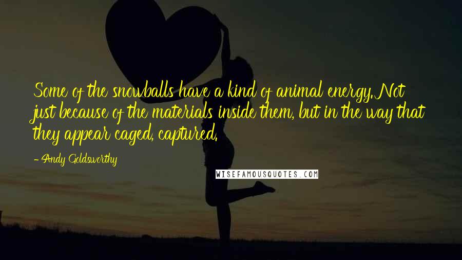 Andy Goldsworthy Quotes: Some of the snowballs have a kind of animal energy. Not just because of the materials inside them, but in the way that they appear caged, captured.