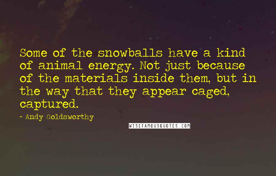 Andy Goldsworthy Quotes: Some of the snowballs have a kind of animal energy. Not just because of the materials inside them, but in the way that they appear caged, captured.