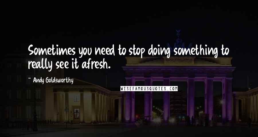 Andy Goldsworthy Quotes: Sometimes you need to stop doing something to really see it afresh.