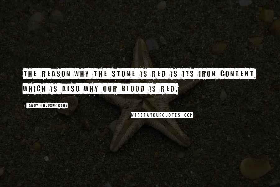 Andy Goldsworthy Quotes: The reason why the stone is red is its iron content, which is also why our blood is red.