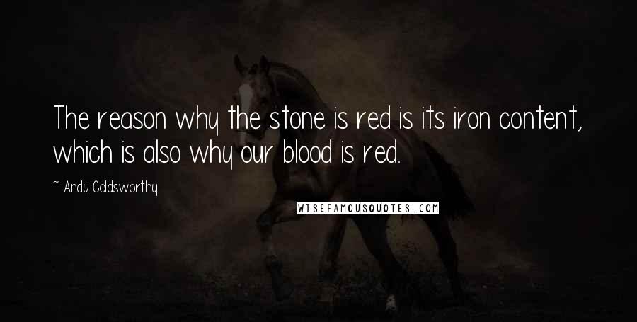 Andy Goldsworthy Quotes: The reason why the stone is red is its iron content, which is also why our blood is red.