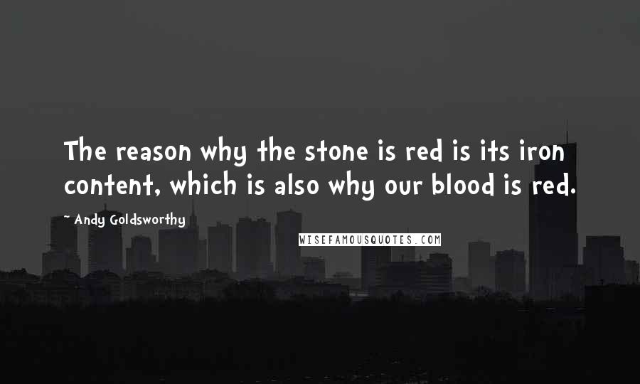 Andy Goldsworthy Quotes: The reason why the stone is red is its iron content, which is also why our blood is red.