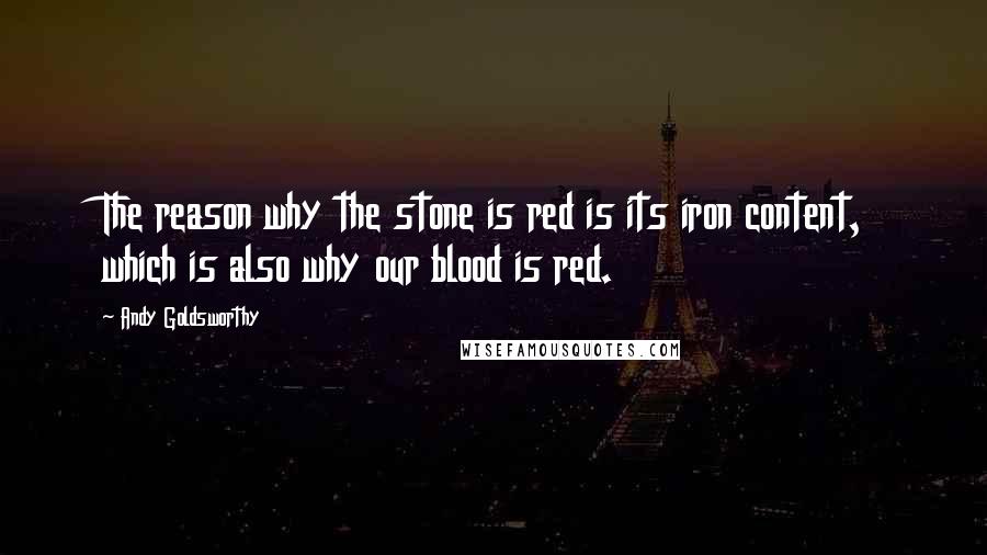 Andy Goldsworthy Quotes: The reason why the stone is red is its iron content, which is also why our blood is red.