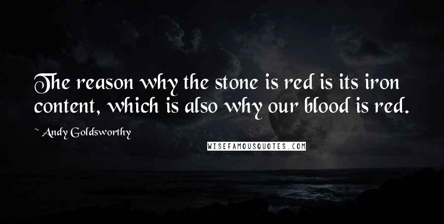 Andy Goldsworthy Quotes: The reason why the stone is red is its iron content, which is also why our blood is red.