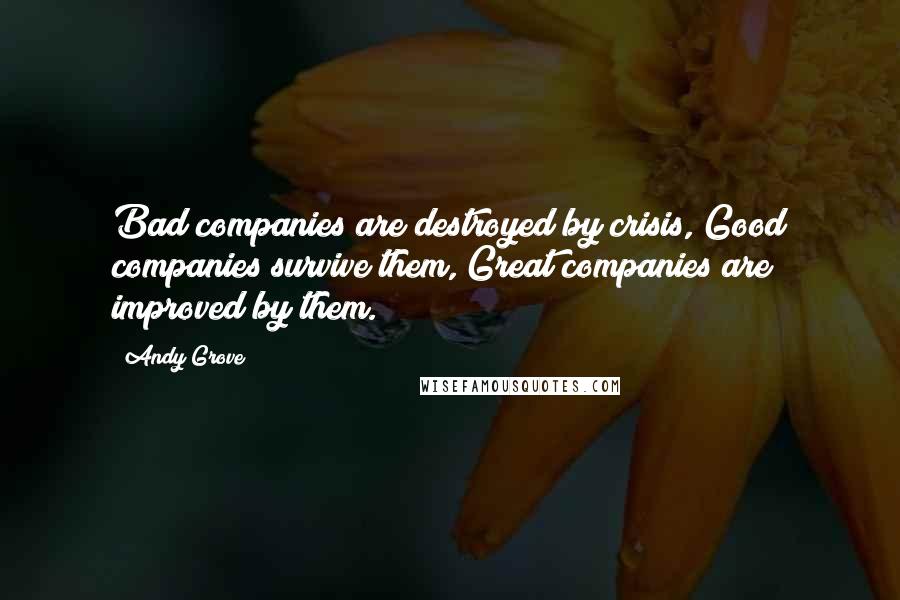 Andy Grove Quotes: Bad companies are destroyed by crisis, Good companies survive them, Great companies are improved by them.