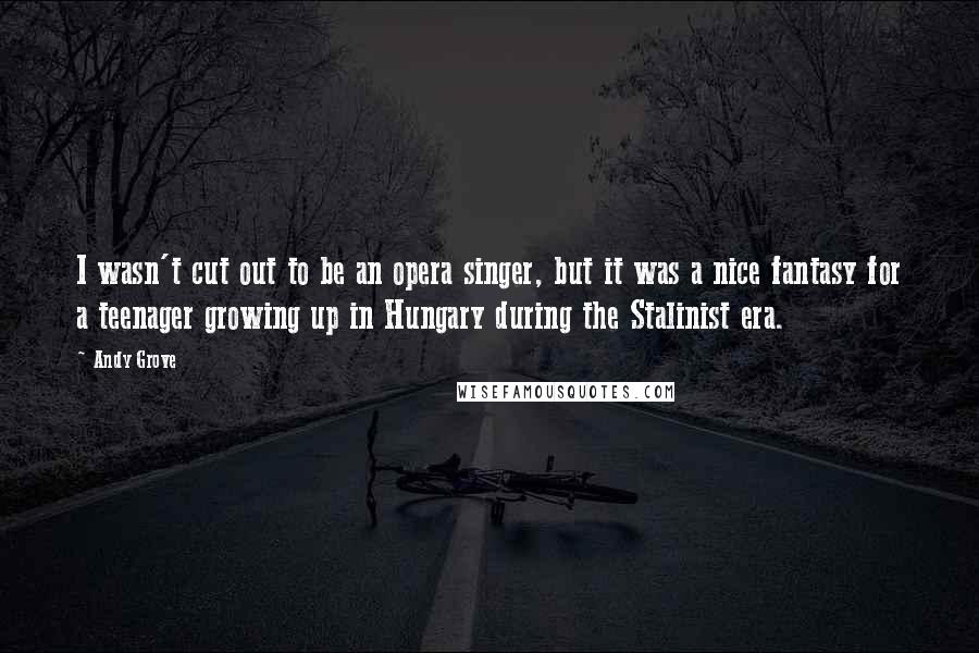 Andy Grove Quotes: I wasn't cut out to be an opera singer, but it was a nice fantasy for a teenager growing up in Hungary during the Stalinist era.