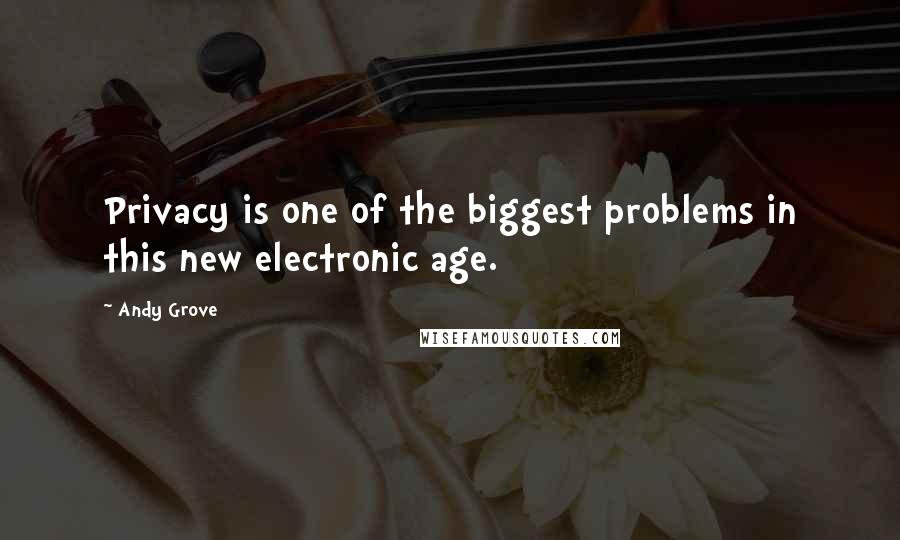 Andy Grove Quotes: Privacy is one of the biggest problems in this new electronic age.