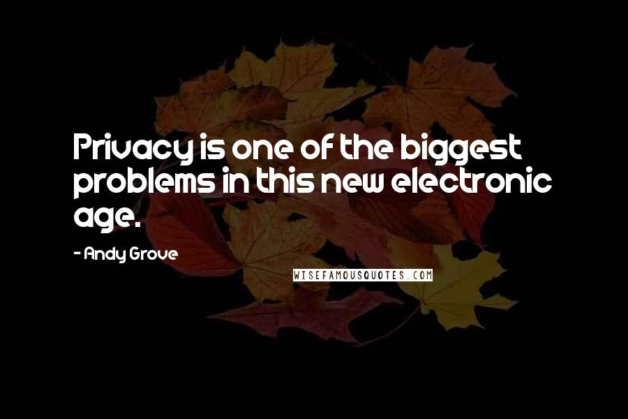 Andy Grove Quotes: Privacy is one of the biggest problems in this new electronic age.