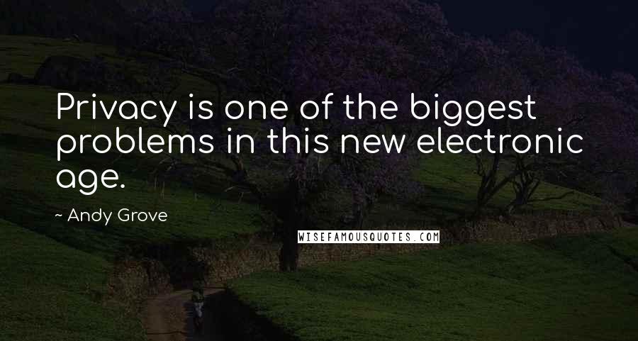 Andy Grove Quotes: Privacy is one of the biggest problems in this new electronic age.