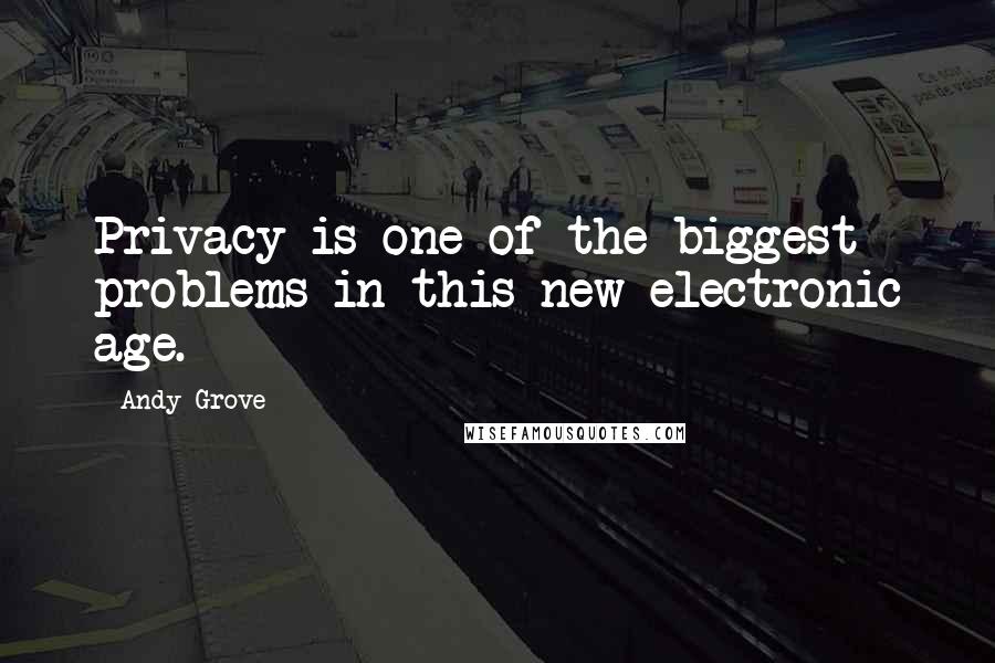 Andy Grove Quotes: Privacy is one of the biggest problems in this new electronic age.