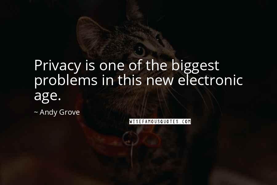 Andy Grove Quotes: Privacy is one of the biggest problems in this new electronic age.
