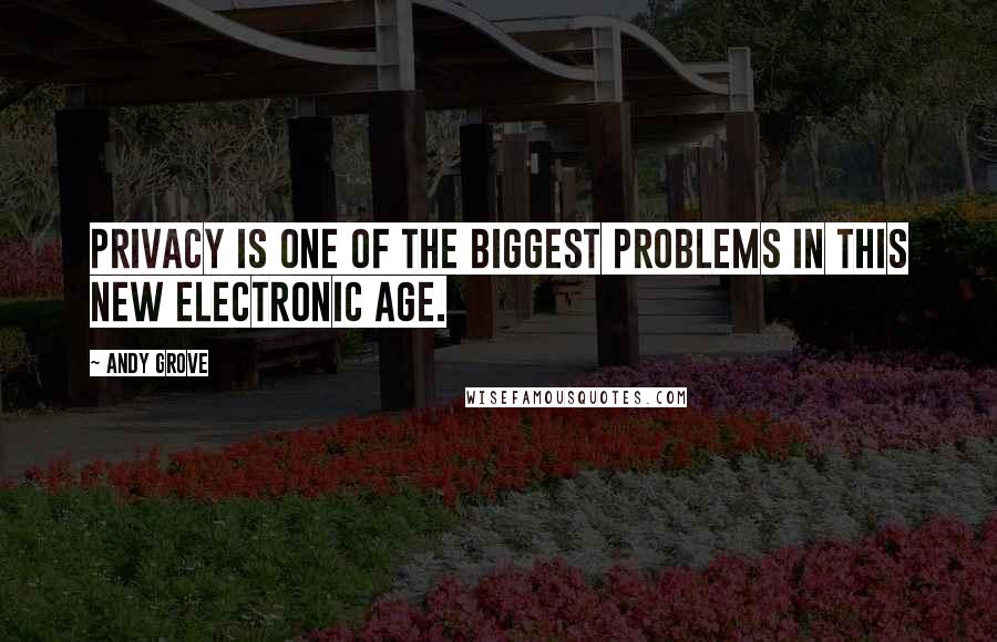 Andy Grove Quotes: Privacy is one of the biggest problems in this new electronic age.