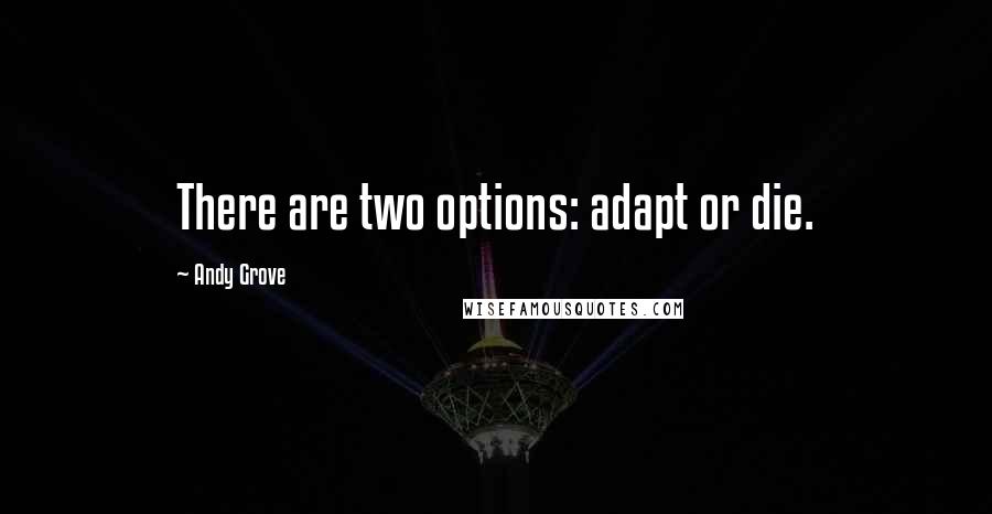 Andy Grove Quotes: There are two options: adapt or die.