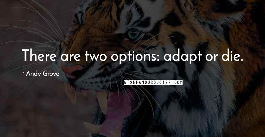 Andy Grove Quotes: There are two options: adapt or die.