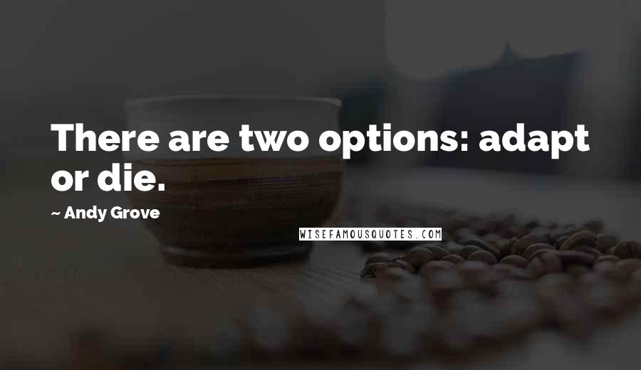 Andy Grove Quotes: There are two options: adapt or die.