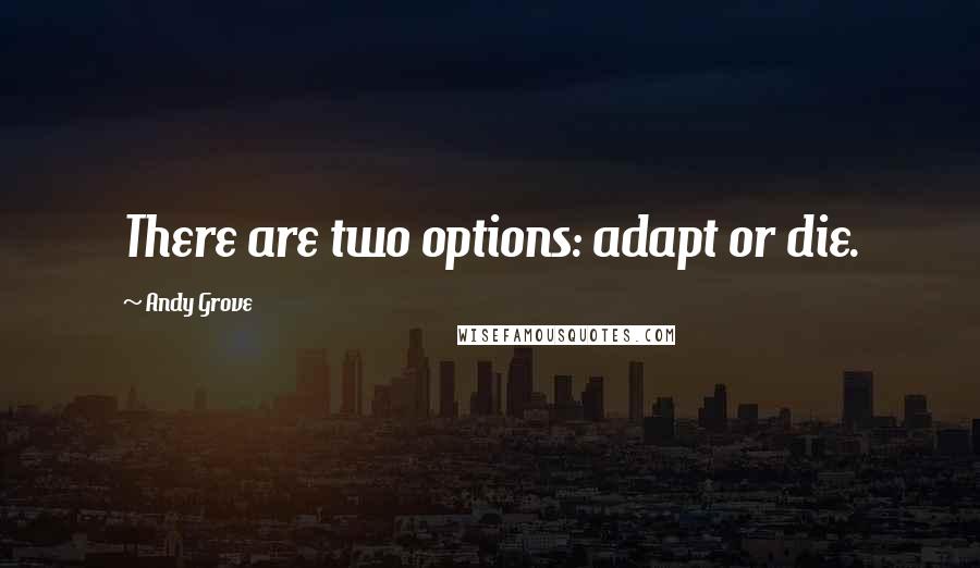 Andy Grove Quotes: There are two options: adapt or die.