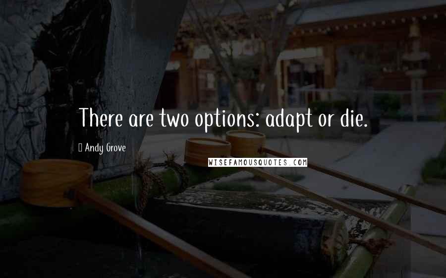 Andy Grove Quotes: There are two options: adapt or die.