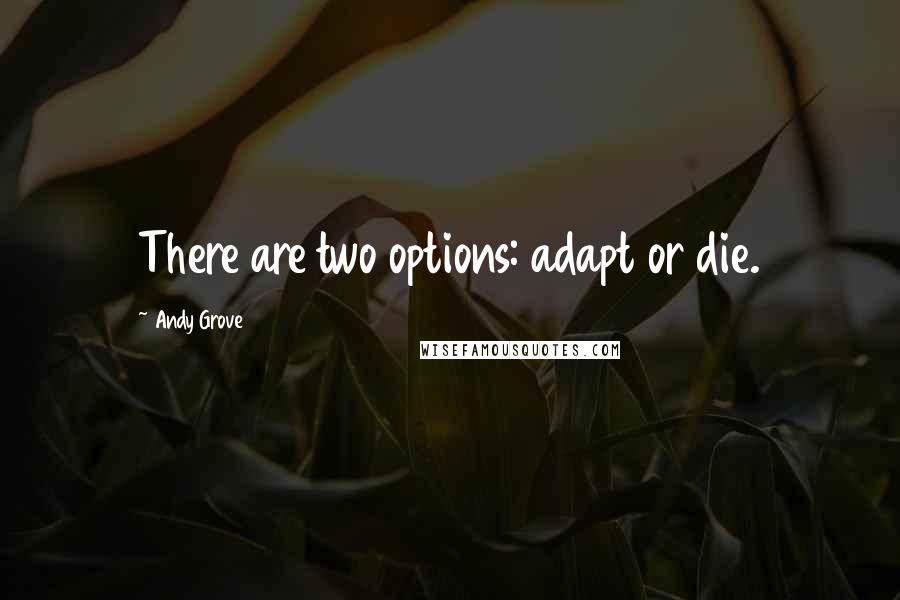 Andy Grove Quotes: There are two options: adapt or die.