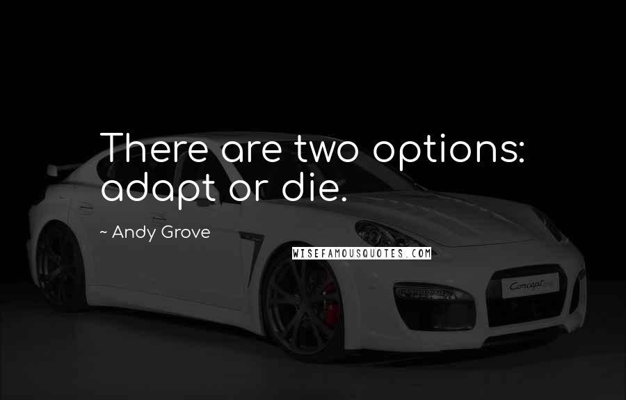 Andy Grove Quotes: There are two options: adapt or die.