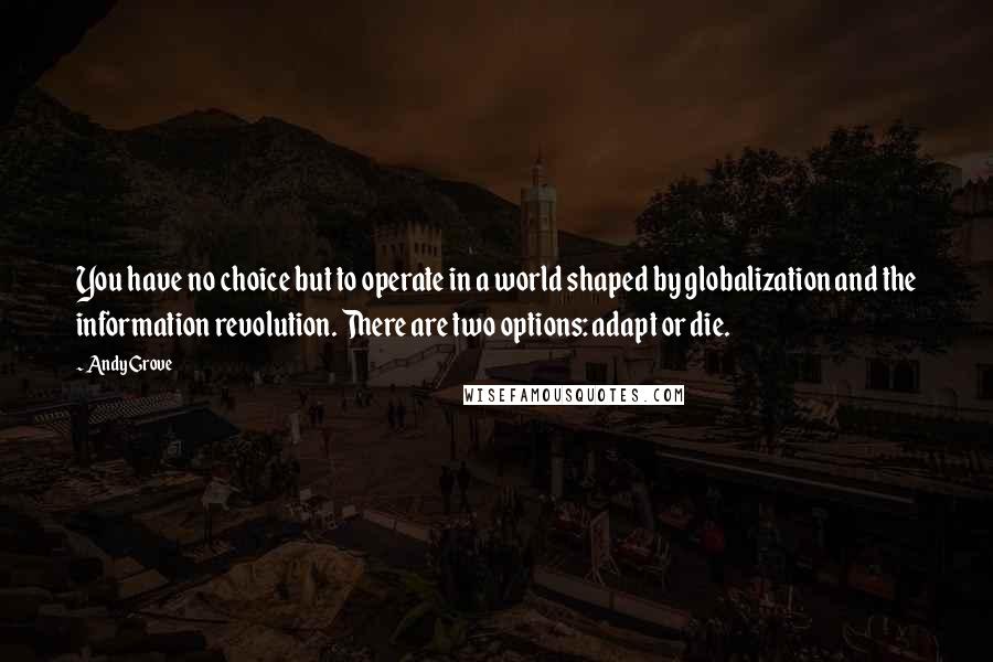 Andy Grove Quotes: You have no choice but to operate in a world shaped by globalization and the information revolution. There are two options: adapt or die.