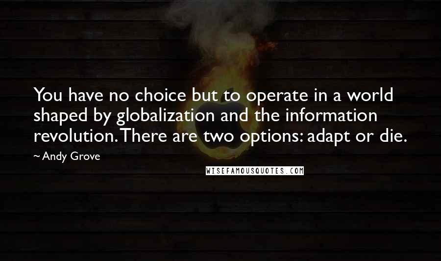 Andy Grove Quotes: You have no choice but to operate in a world shaped by globalization and the information revolution. There are two options: adapt or die.