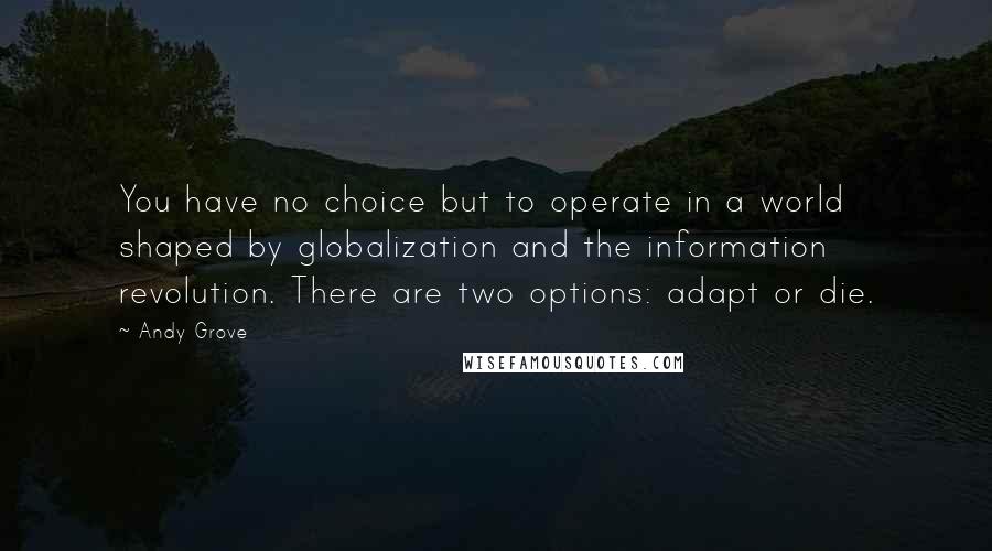 Andy Grove Quotes: You have no choice but to operate in a world shaped by globalization and the information revolution. There are two options: adapt or die.