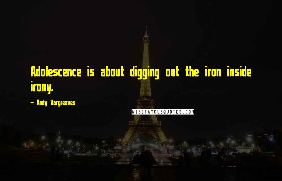 Andy Hargreaves Quotes: Adolescence is about digging out the iron inside irony.