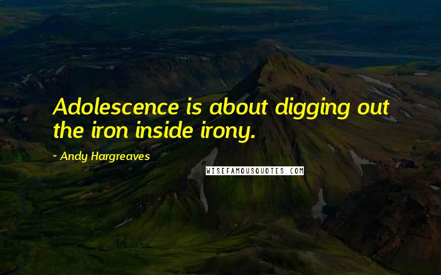 Andy Hargreaves Quotes: Adolescence is about digging out the iron inside irony.