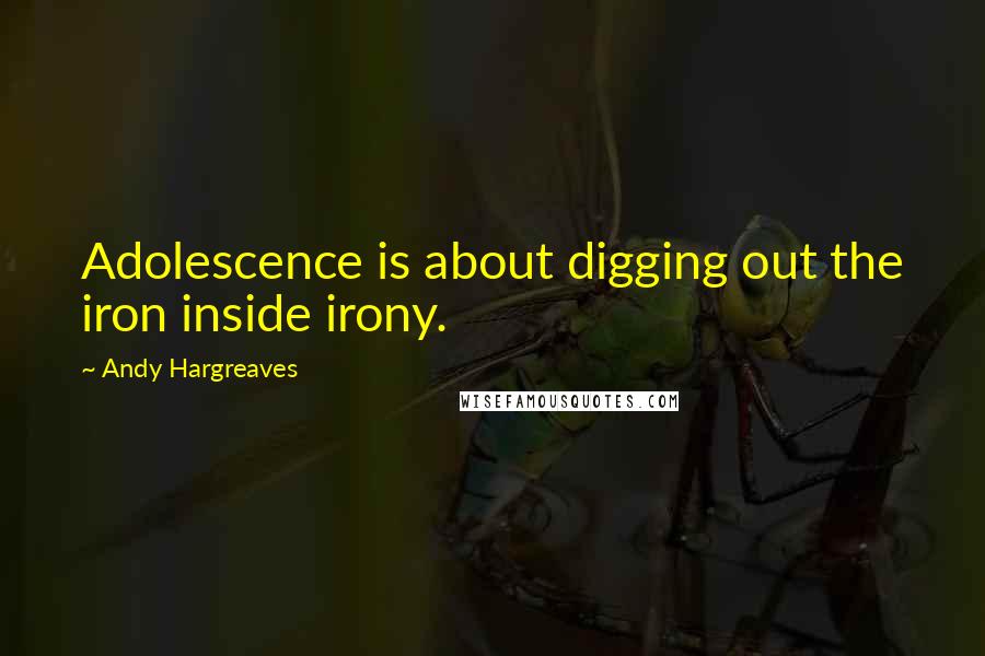 Andy Hargreaves Quotes: Adolescence is about digging out the iron inside irony.