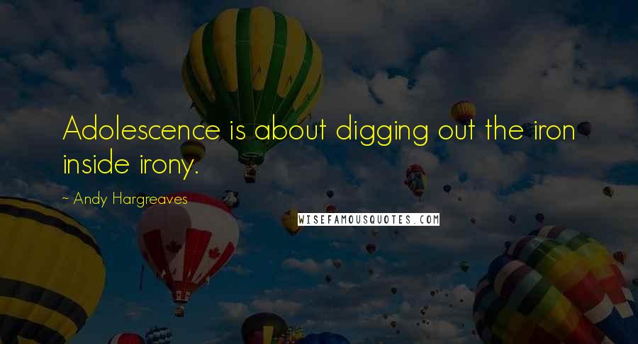 Andy Hargreaves Quotes: Adolescence is about digging out the iron inside irony.