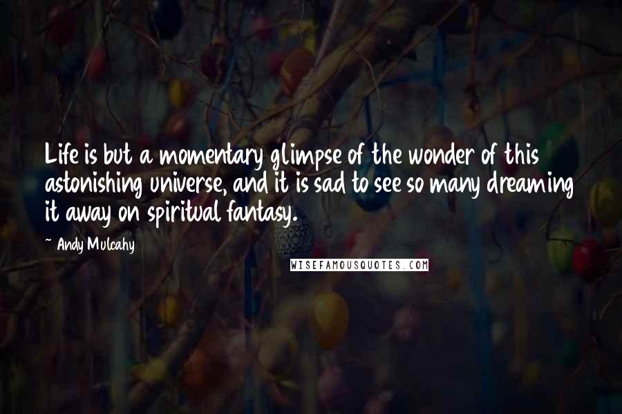 Andy Mulcahy Quotes: Life is but a momentary glimpse of the wonder of this astonishing universe, and it is sad to see so many dreaming it away on spiritual fantasy.