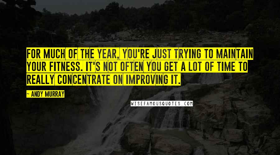 Andy Murray Quotes: For much of the year, you're just trying to maintain your fitness. It's not often you get a lot of time to really concentrate on improving it.