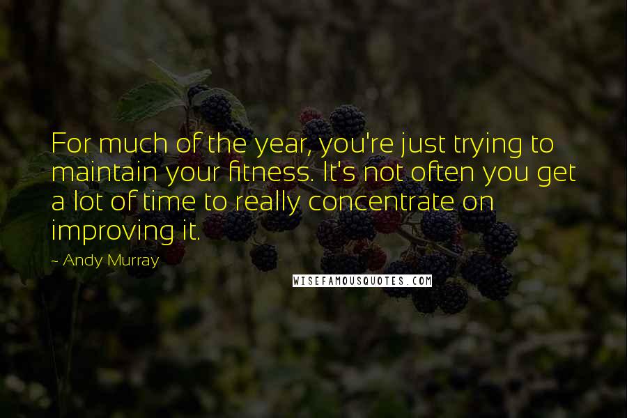 Andy Murray Quotes: For much of the year, you're just trying to maintain your fitness. It's not often you get a lot of time to really concentrate on improving it.