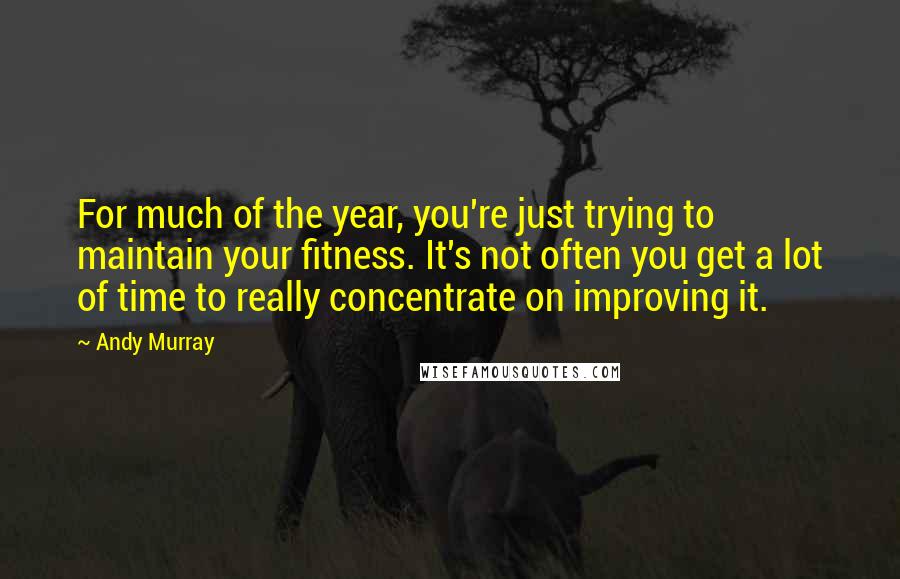 Andy Murray Quotes: For much of the year, you're just trying to maintain your fitness. It's not often you get a lot of time to really concentrate on improving it.
