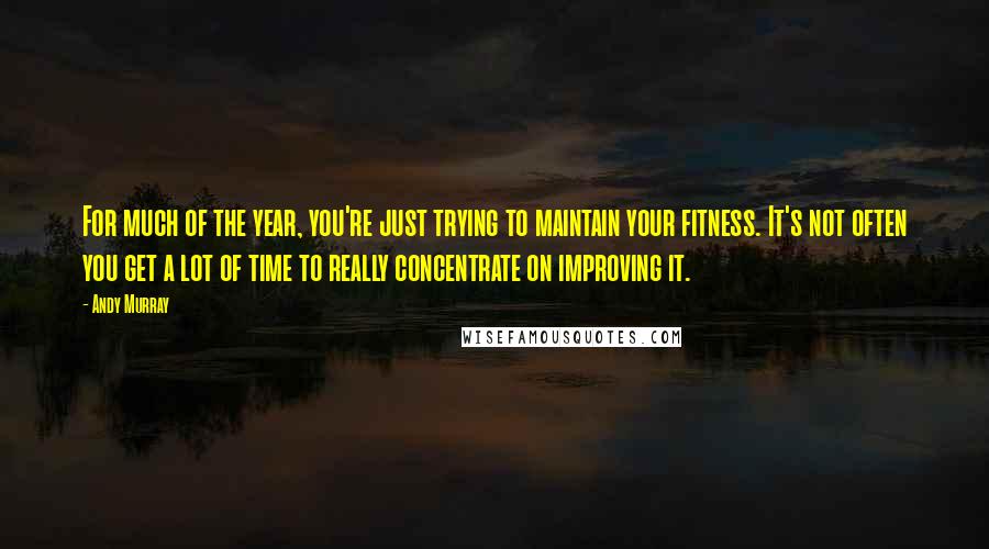 Andy Murray Quotes: For much of the year, you're just trying to maintain your fitness. It's not often you get a lot of time to really concentrate on improving it.