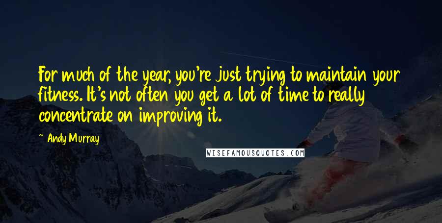 Andy Murray Quotes: For much of the year, you're just trying to maintain your fitness. It's not often you get a lot of time to really concentrate on improving it.