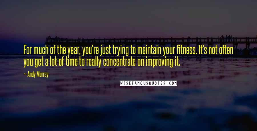 Andy Murray Quotes: For much of the year, you're just trying to maintain your fitness. It's not often you get a lot of time to really concentrate on improving it.