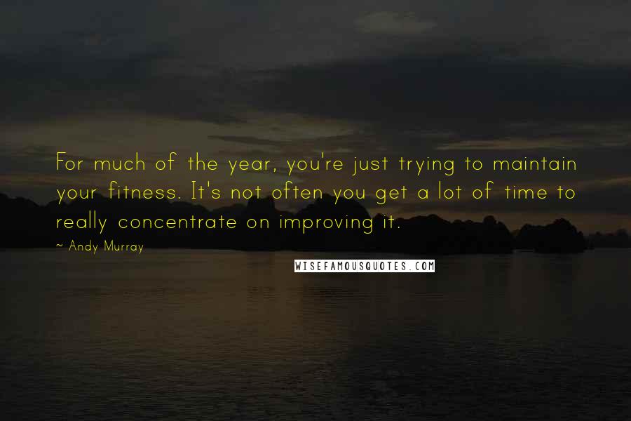 Andy Murray Quotes: For much of the year, you're just trying to maintain your fitness. It's not often you get a lot of time to really concentrate on improving it.