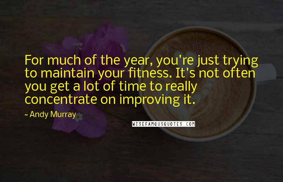 Andy Murray Quotes: For much of the year, you're just trying to maintain your fitness. It's not often you get a lot of time to really concentrate on improving it.