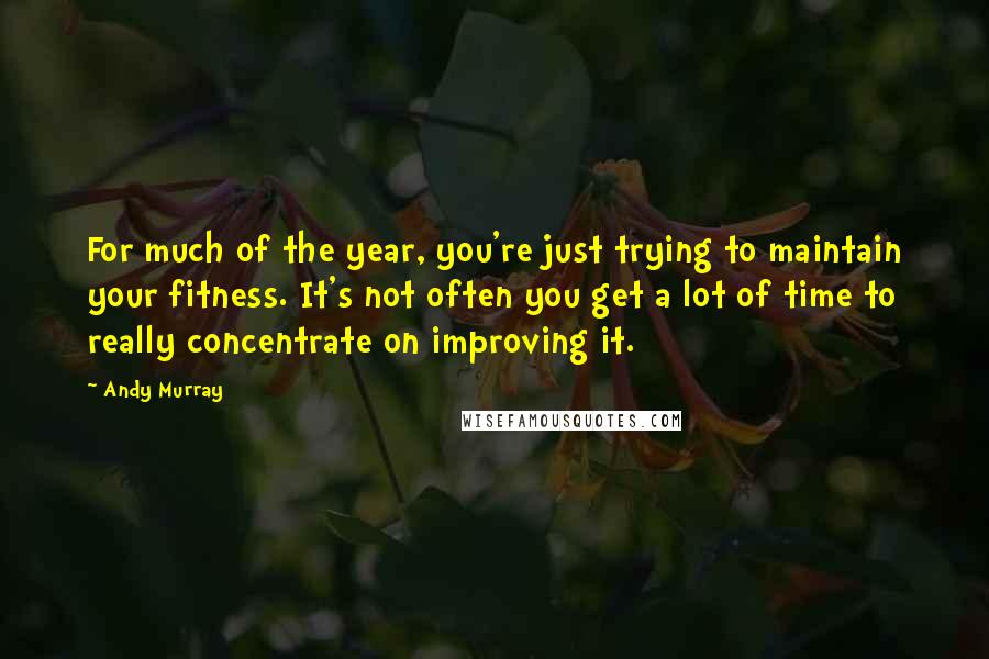 Andy Murray Quotes: For much of the year, you're just trying to maintain your fitness. It's not often you get a lot of time to really concentrate on improving it.